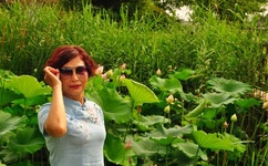 媒豆传媒免费视频入口网站